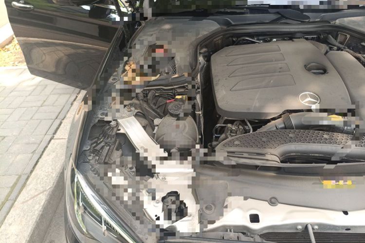 Used Mercedes-Benz E-Class 2023 Updated E 300 L Luxury Edition Engine Bay Right