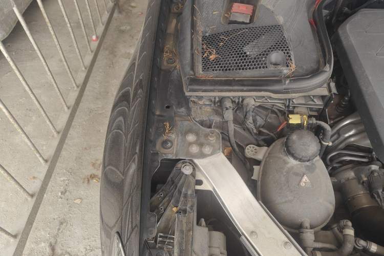 Used Mercedes-Benz E-Class 2023 E 300 L Sporty and Stylish Model Engine Bay Right
