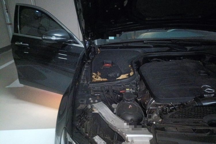 Used Mercedes-Benz E-Class 2023 E 260 L Sport Edition Engine Bay Right