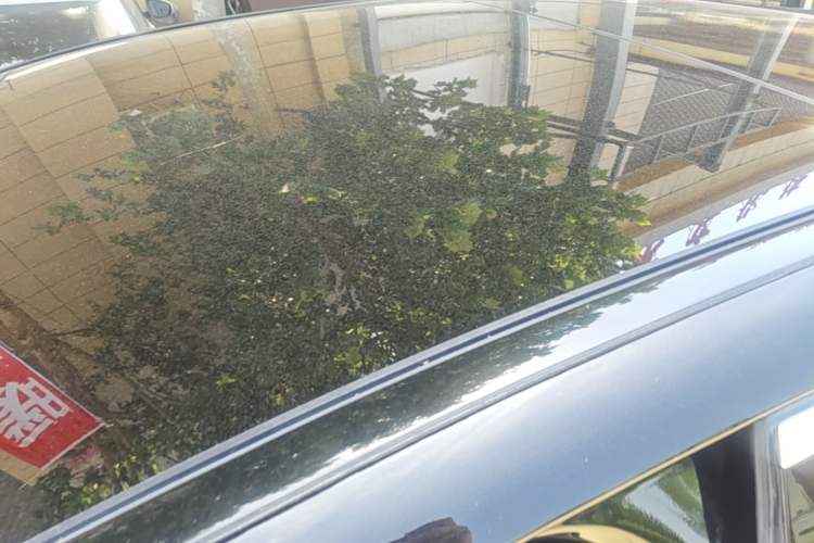Used Mercedes-Benz E-Class 2023 Updated E 300 L Fashion Edition Roof
