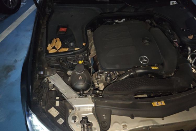 Used Mercedes-Benz E-Class 2023 E 300 Coupe Engine Bay Right