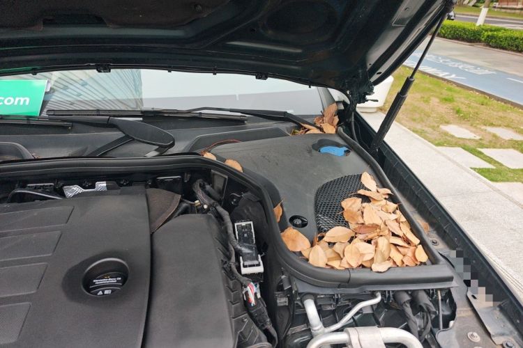 Used Mercedes-Benz E-Class 2023-Year Restyled E 260 Coupe Engine Bay Left