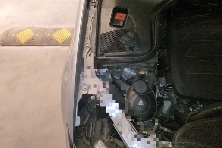 Used Mercedes-Benz E-Class 2023 Updated E 300 L Fashion Edition Engine Bay Right