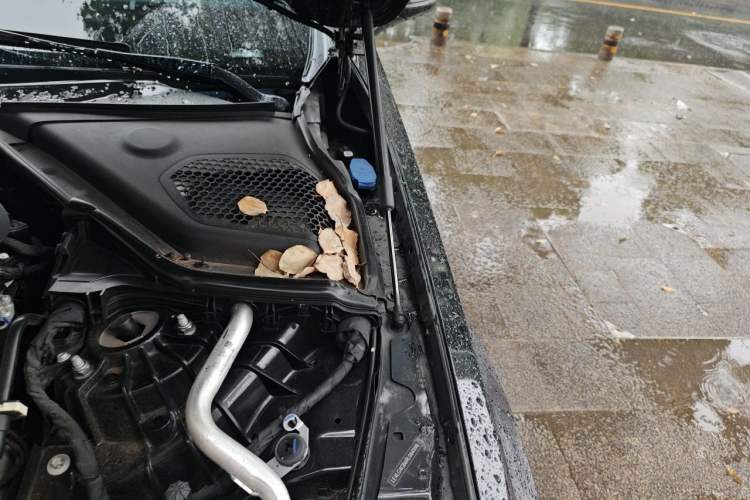 Used Mercedes-Benz E-Class 2024 Facelift E 300 L Luxury Edition Engine Bay Left