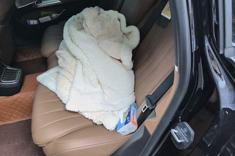 Used Mercedes-Benz E-Class 2024 Facelift E 300 L Luxury Edition Left Rear Seat