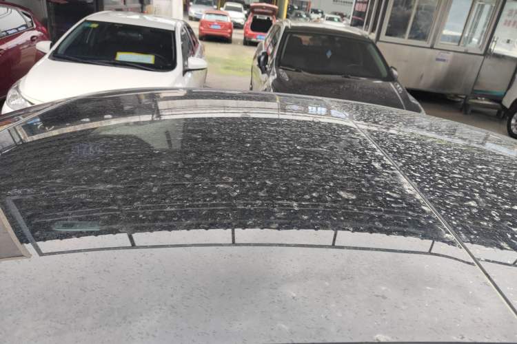 Used Mercedes-Benz E-Class 2024 E 300 L Fashion Sport Model Roof