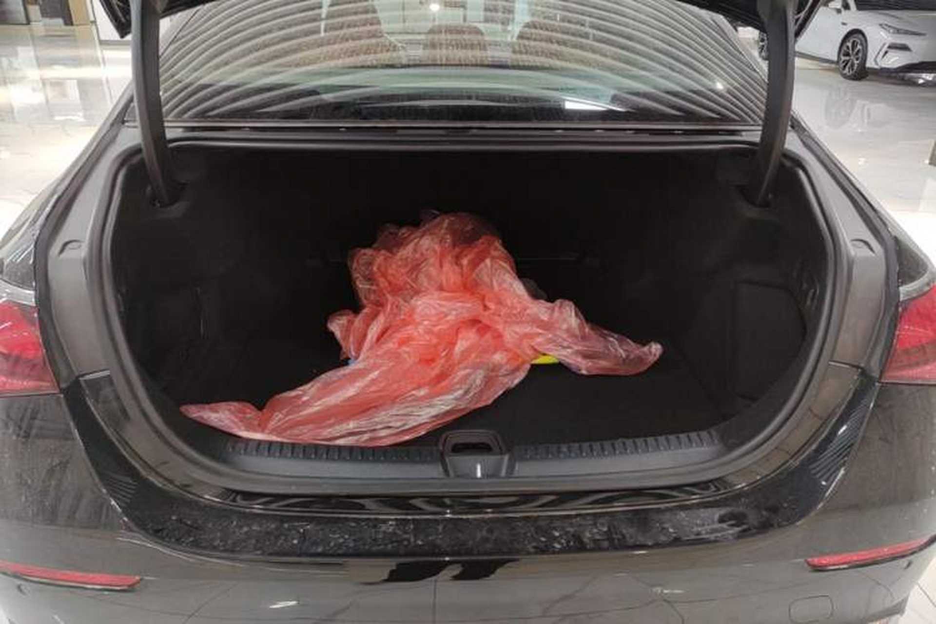 Used Mercedes-Benz E-Class 2024 E 300 L Luxury Model Trunk