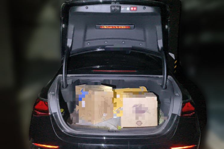 Used Mercedes-Benz E-Class 2024 E 300 L Luxury Model Trunk
