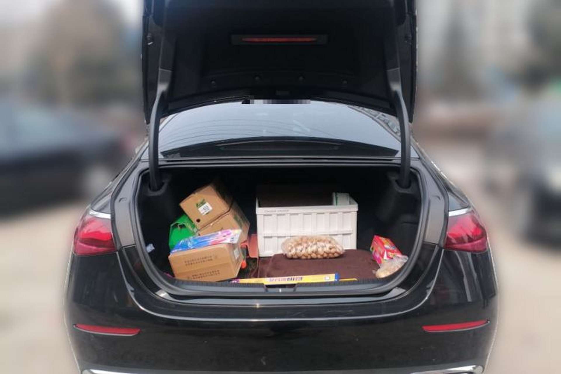 Used Mercedes-Benz E-Class 2025 E 300 L Luxury Model Trunk