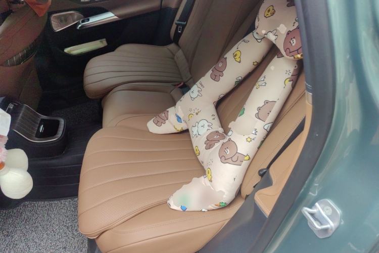 Used Mercedes-Benz E-Class 2025 E 300 L Luxury Model Left Rear Seat