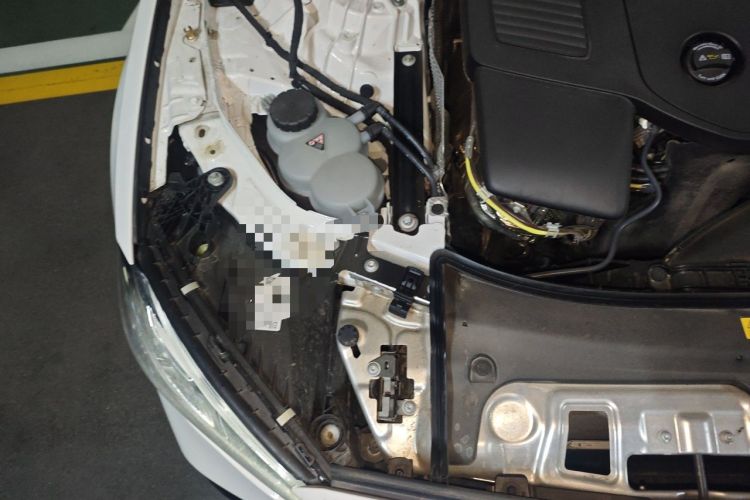 Used Mercedes-Benz E-Class 2025 Year Restyled E 260 Sport Edition Engine Bay Right