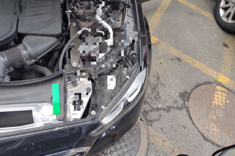 Used Mercedes-Benz E-Class 2026 E 300 L Luxury Engine Bay Left