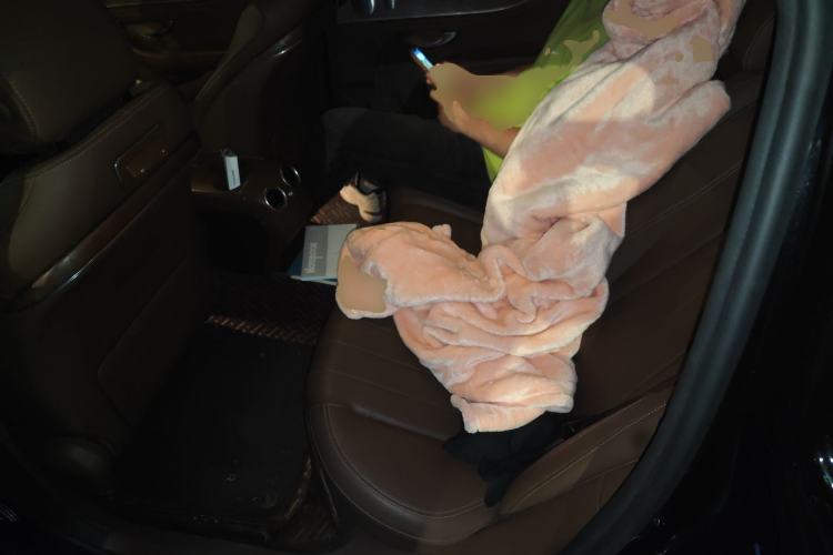 Used Mercedes-Benz E-Class New Energy 2020 E 300 e L Left Rear Seat