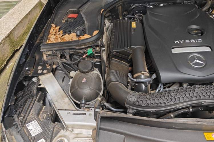 Used Mercedes-Benz E-Class New Energy 2022 Facelift E 350 e L Plug-in Hybrid Sedan Engine Bay Right