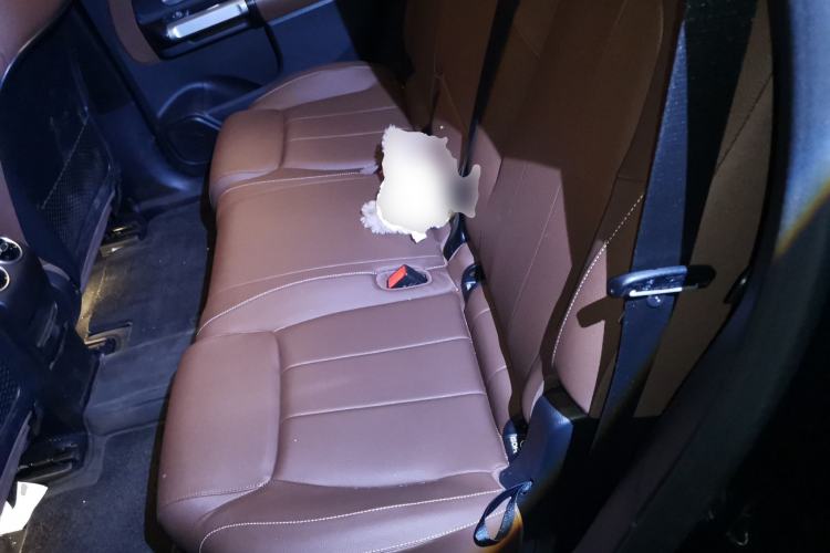 Used Mercedes-Benz EQB 2025 EQB 260 Left Rear Seat