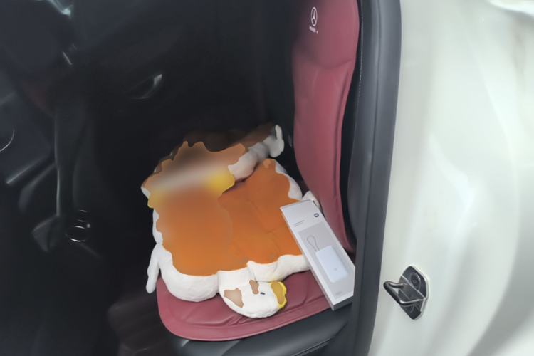 Used Mercedes-Benz EQC 2020 EQC 400 4MATIC Left Rear Seat