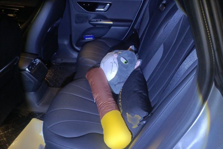 Used Mercedes-Benz EQE 2022 350 Luxury Edition Left Rear Seat
