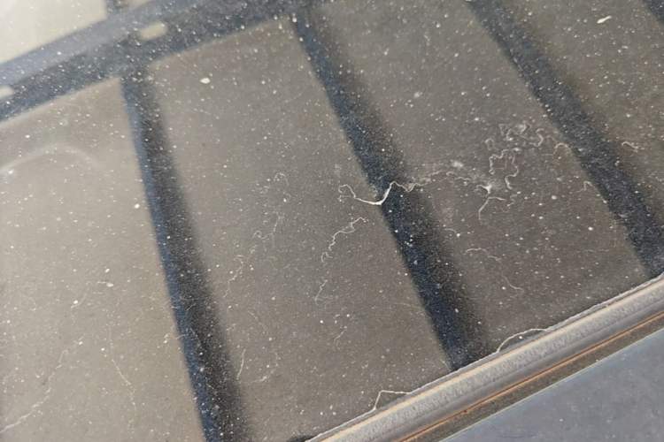 Used Mercedes-Benz EQE 2022 350 Pioneer Edition Roof