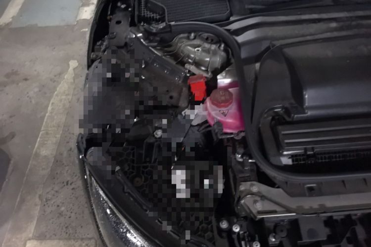 Used Mercedes-Benz EQE 2025 500 4MATIC Pioneer Edition Engine Bay Right