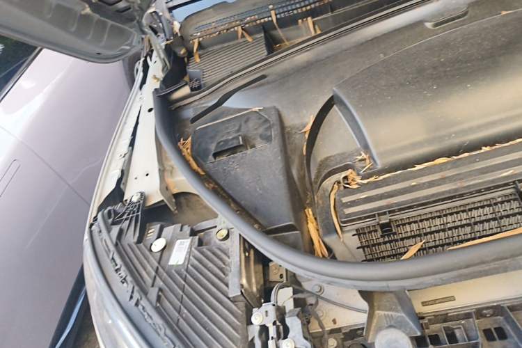 Used Mercedes-Benz EQE SUV 2023 500 4MATIC Special Edition Engine Bay Right