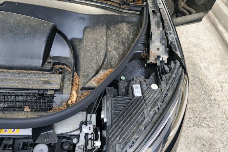 Used Mercedes-Benz EQE SUV 2024 500 4MATIC Luxury Edition Engine Bay Left