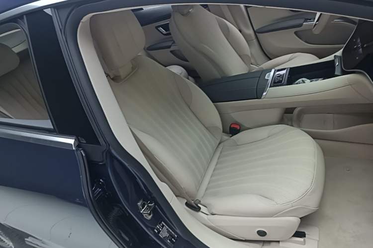 Used Mercedes-Benz EQS 2022 450+ Luxury Edition Right Front Seat