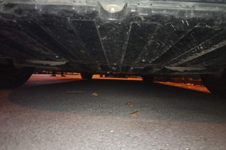 Used Mercedes-Benz EQS 2022 450+ Pioneer Edition Chassis Rear