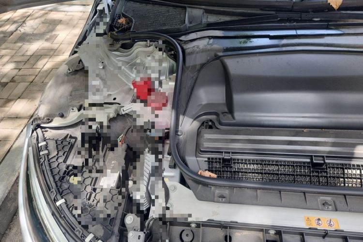 Used Mercedes-Benz EQS 2022 Updated Version 450+ Pioneer Edition Engine Bay Right
