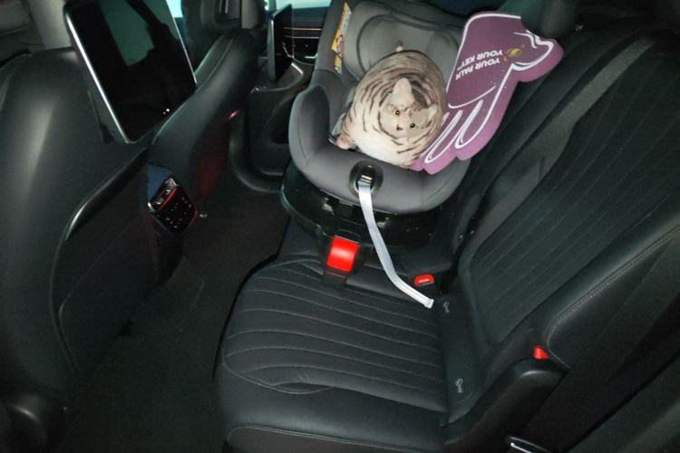 Used Mercedes-Benz EQS SUV 2023 450 4MATIC Luxury Edition Left Rear Seat