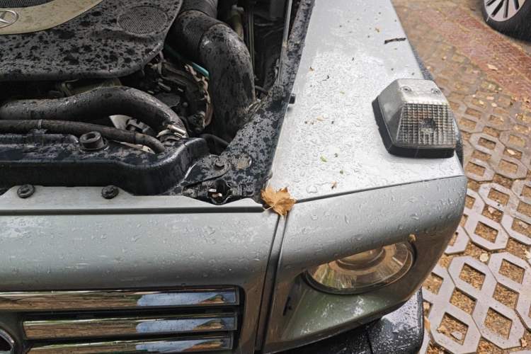 Used Mercedes-Benz G-Class 2010 G 500 Engine Bay Left