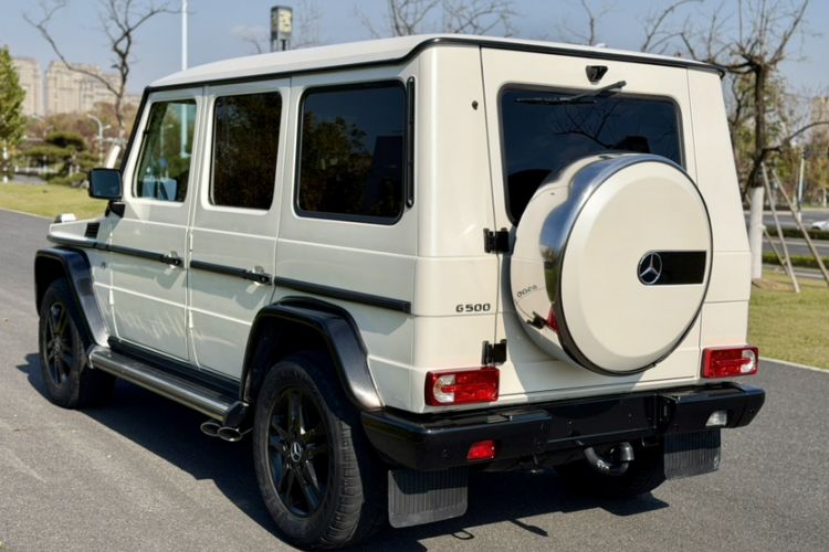 Used Mercedes-Benz G-Class 2010 G 500 Exterior 6