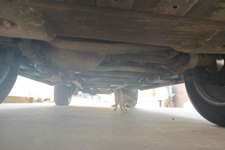 Used Mercedes-Benz G-Class  Chassis Front