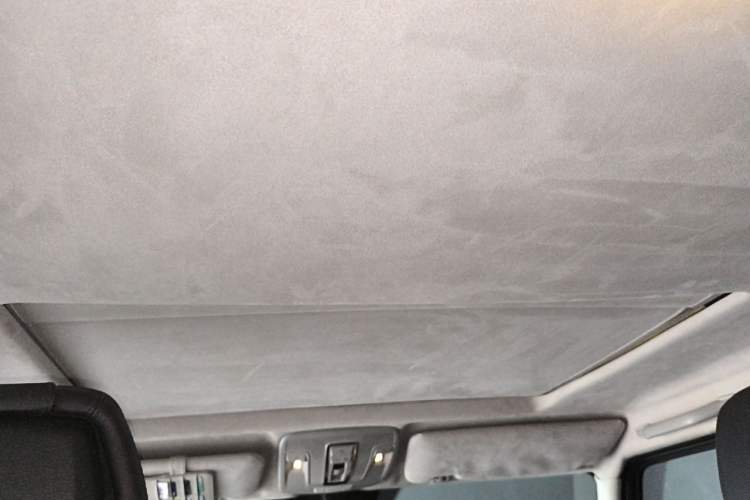 Used Mercedes-Benz G-Class  Headliner