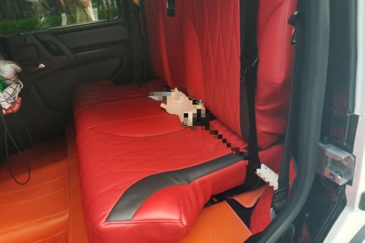 Used Mercedes-Benz G-Class 2017 G 350 d Left Rear Seat
