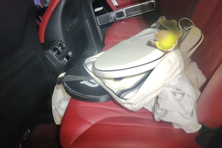 Used Mercedes-Benz G-Class 2019 G 500 Left Rear Seat