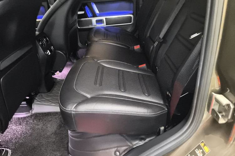 Used Mercedes-Benz G-Class 2020 G 350 Left Rear Seat