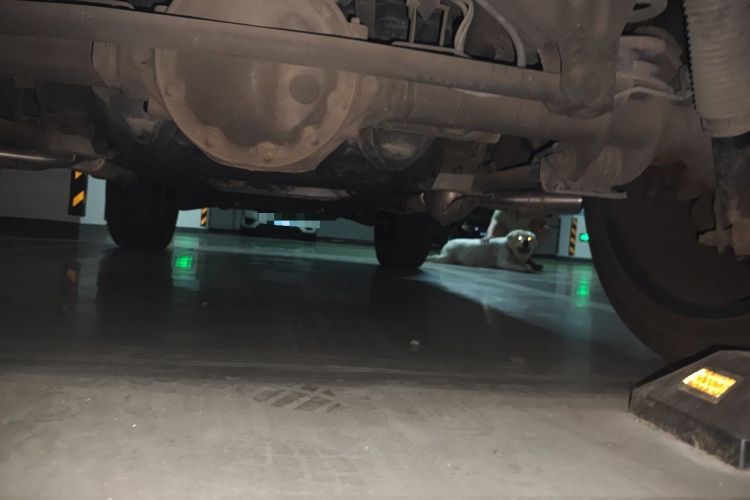 Used Mercedes-Benz G-Class 2020 G 350 Chassis Rear