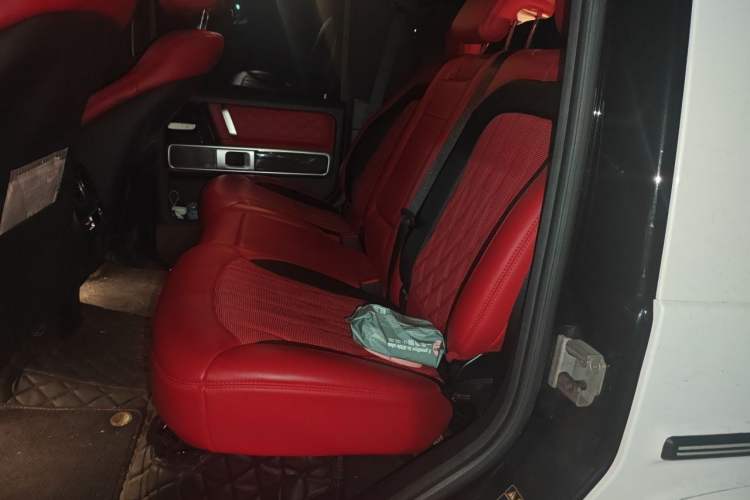 Used Mercedes-Benz G-Class 2020 G 350 Left Rear Seat