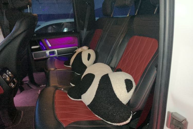Used Mercedes-Benz G-Class 2022 G 500 Left Rear Seat