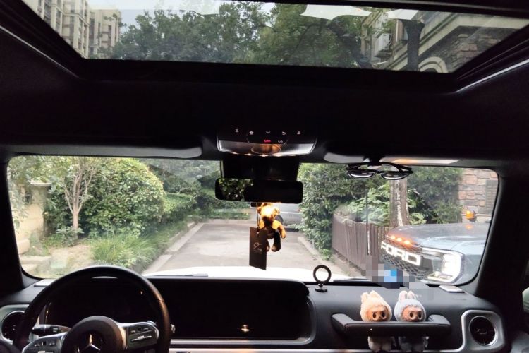 Used Mercedes-Benz G-Class  Headliner