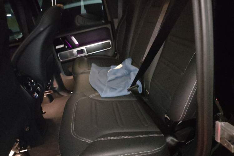 Used Mercedes-Benz G-Class 2024 G 350 Left Rear Seat