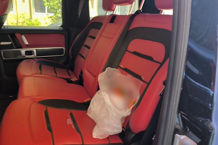 Used Mercedes-Benz G-Class AMG 2020 AMG G 63 Left Rear Seat
