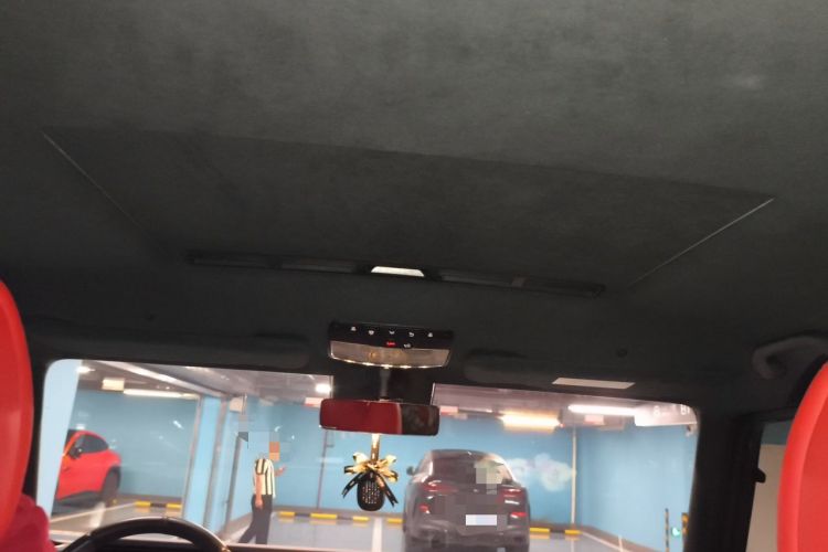 Used Mercedes-Benz G-Class AMG  Headliner