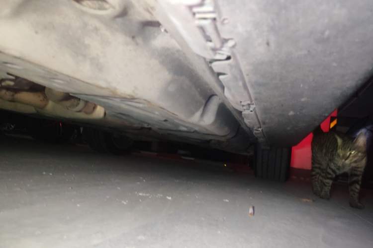 Used Mercedes-Benz GL-Class 2013 GL 500 4MATIC Chassis Front Left