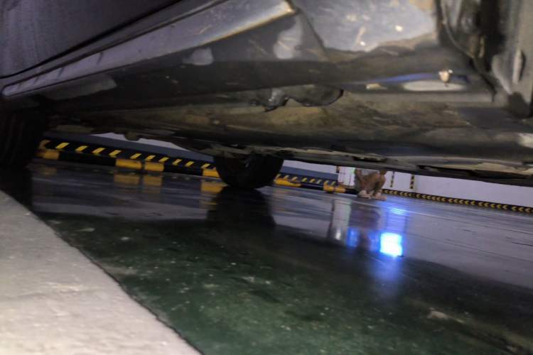 Used Mercedes-Benz GLA 2015 GLA 200 Fashion Model Chassis Front Right