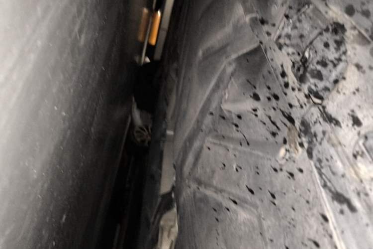 Used Mercedes-Benz GLA 2015 GLA 200 Fashion Model Chassis Rear Left