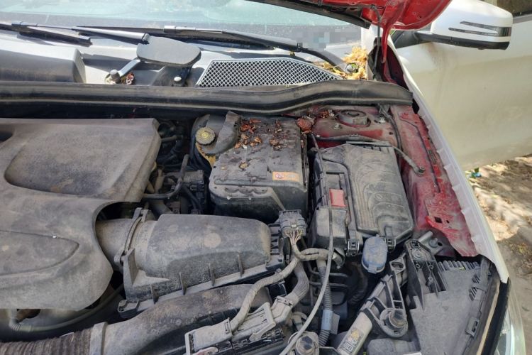 Used Mercedes-Benz GLA 2015 GLA 200 Fashion Model Engine Bay Left