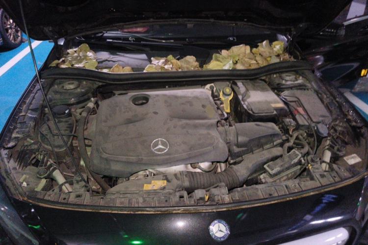 Used Mercedes-Benz GLA 2016 GLA 200 Sport Edition Engine Bay