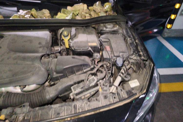 Used Mercedes-Benz GLA 2016 GLA 200 Sport Edition Engine Bay Left