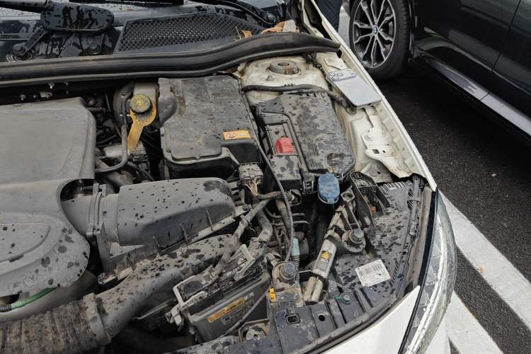 Used Mercedes-Benz GLA 2016 GLA 200 Fashion Model Engine Bay Left